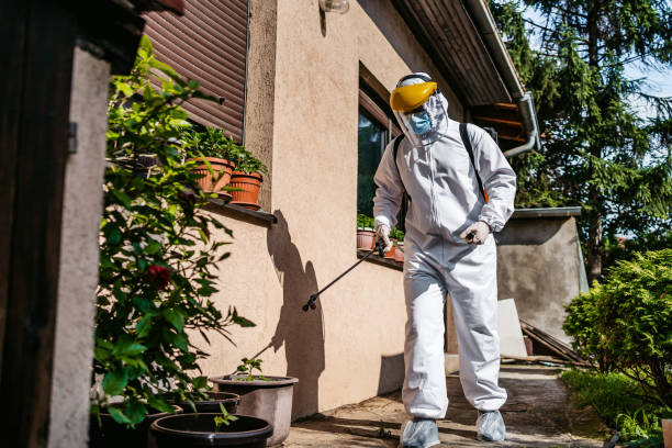 Best Cockroach Control Services  in Hideaway, TX