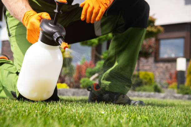 Pest Control for Restaurants in Hideaway, TX